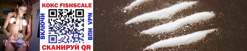 хочу наркоту  Краснослободск  Cocaine Fish Scale 