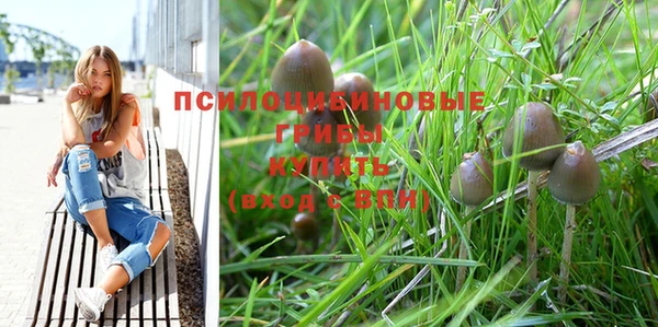 бутират Белокуриха